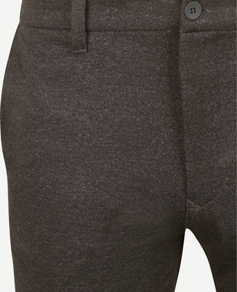 Chino griffin bruin