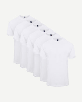 T-shirt Virginia (6-pack)