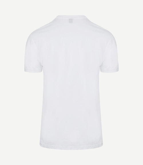 T-shirt Virginia (6-pack)
