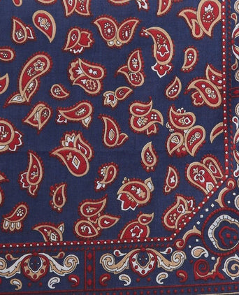 Barbour hankie zakdoeken paisley