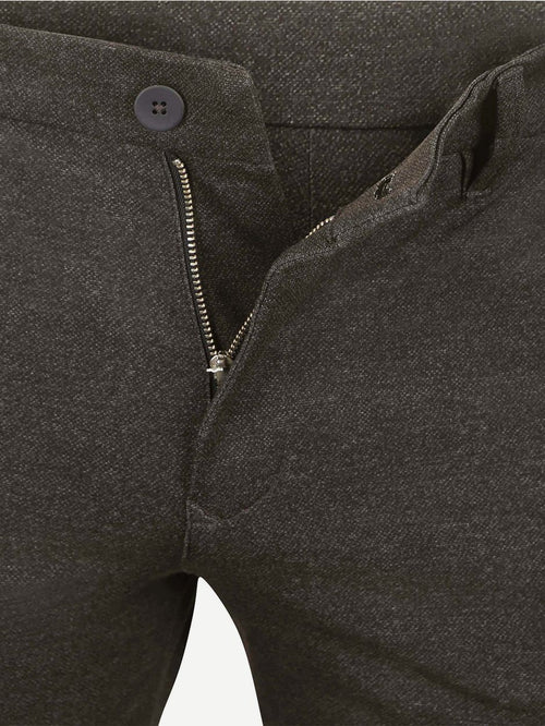 Chino griffin bruin