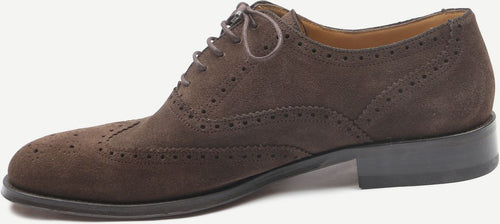 Brighton brogue schoenen bruin