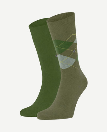 Everyday mix sokken (2-pack) groen 7473