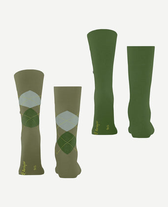 Everyday mix sokken (2-pack) groen 7473