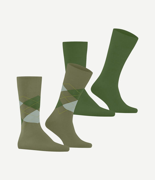 Everyday mix sokken (2-pack) groen 7473