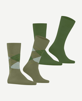 Everyday mix sokken (2-pack) groen 7473