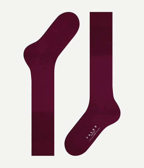 Falke airport kniekous barolo 8596