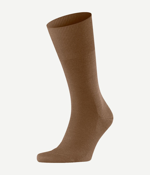 Falke airport sok camel