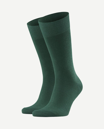 Happy sokken (2-pack) donkergroen