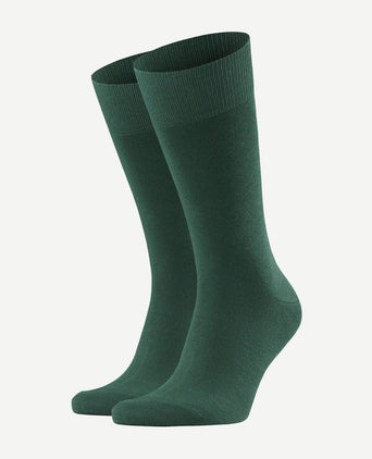 Happy sokken (2-pack) donkergroen