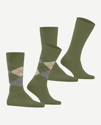 Everyday mix sokken (2-pack) groen 7472