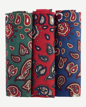 Barbour hankie zakdoeken paisley