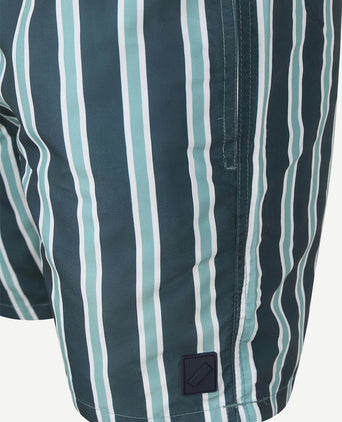 Zwembroek stripe groen