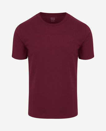 The shawn t-shirt burgundy