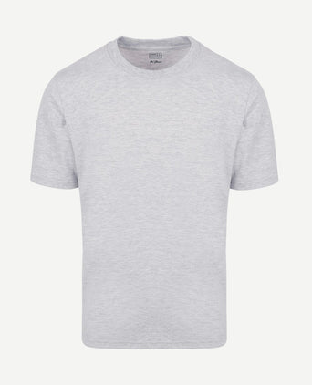 The shawn t-shirt grijs