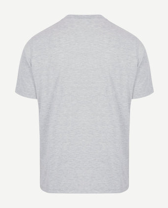 The shawn t-shirt grijs