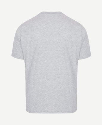 The shawn t-shirt grijs