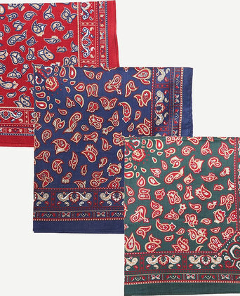 Barbour hankie zakdoeken paisley