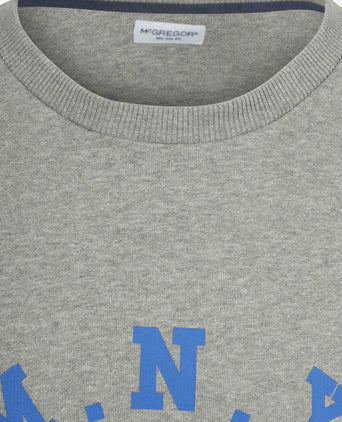Sweatshirt graphic grijs