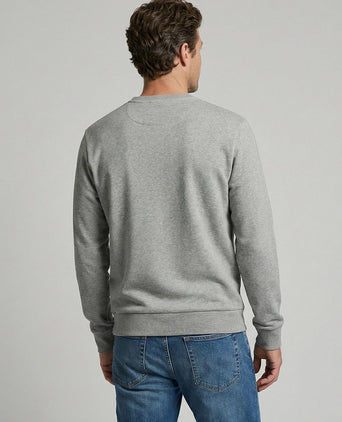 Sweatshirt graphic grijs