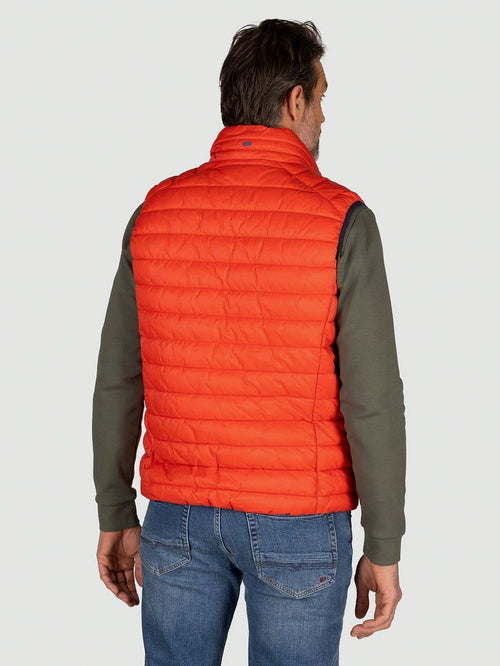 NZA bodywarmer harvey rood oranje