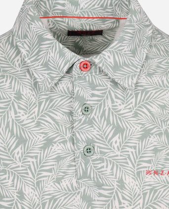 Polo albery mist groen