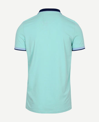 Polo foxton piqué pale leaf
