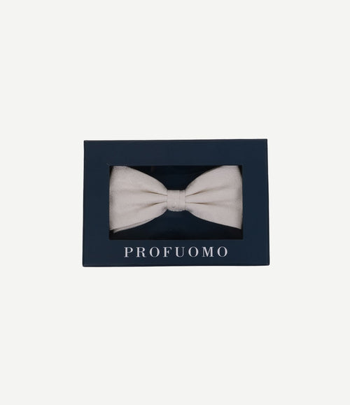 Bow tie paisley