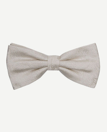Profuomo bow tie paisley