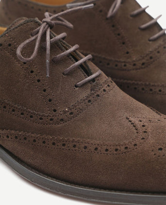 Brighton brogue schoenen bruin