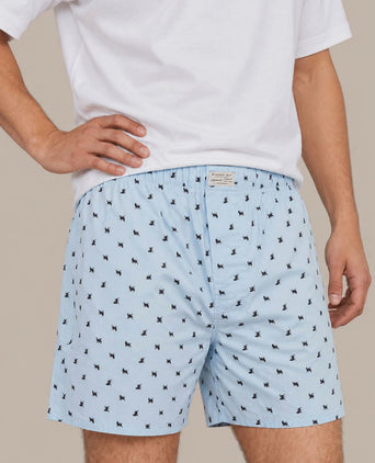Boxershort print leeuw lichtblauw