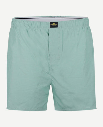 Boxershort ruit groen