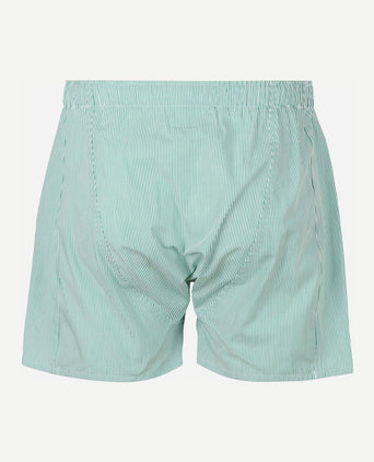 Steppin' Out boxershort streep groen