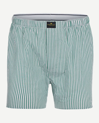 Steppin' Out boxershort streep poplin groen