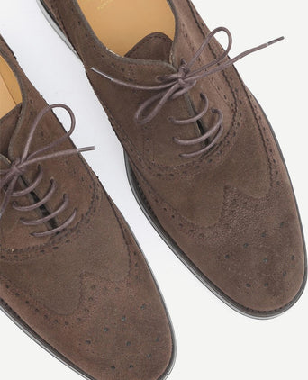 Brighton brogue schoenen bruin
