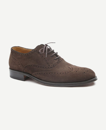 Brighton brogue schoenen bruin