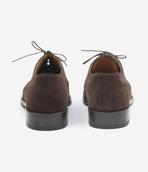 Brighton brogue schoenen bruin