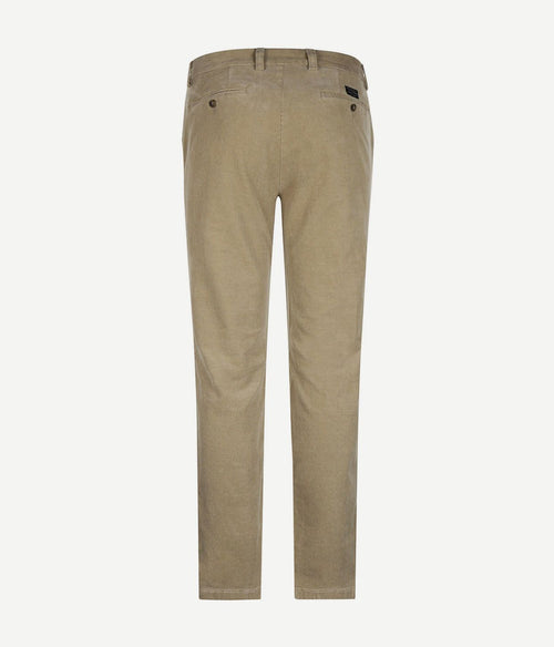 Steppin' Out corduroy chino blair sand | Regular-fit