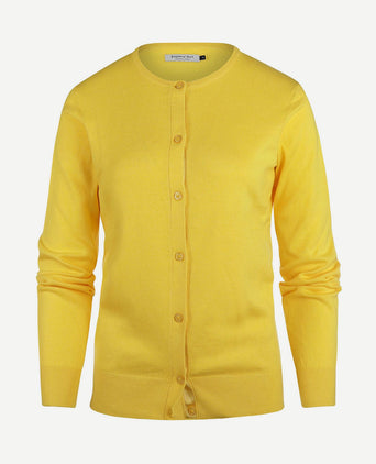 Vest cashmere dames geel