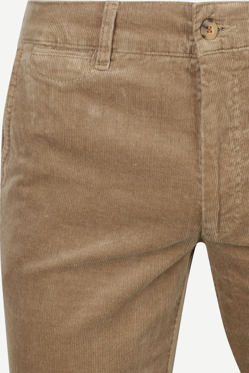 Suitable chino Plato corduroy beige