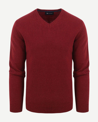 Suitable lamswol trui v-hals bordeaux | Regular-fit