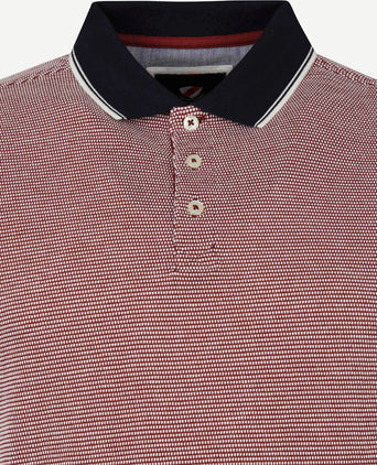 Suitable Oxford polo rood