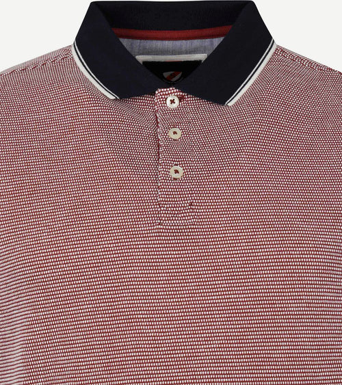 Suitable Oxford polo rood