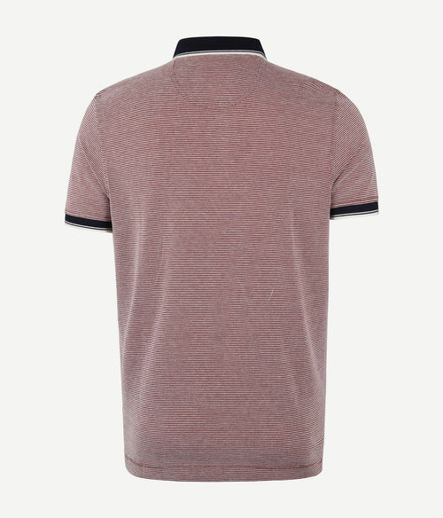 Suitable Oxford polo rood