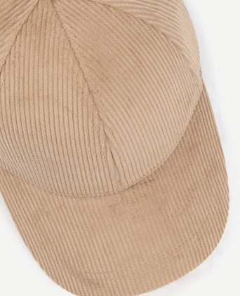 Suitable corduroy pet beige