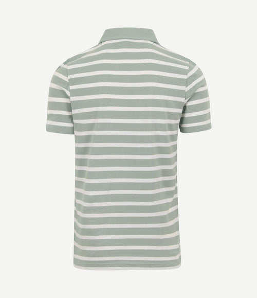 Prestige mas polo groen