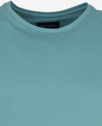 Suitable respect t-shirt Jim mint