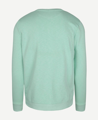 Suitable sweater jerry groen