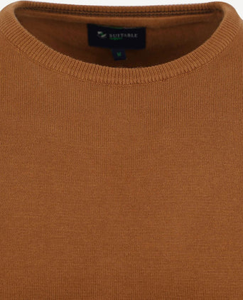 Respect Oinir pullover bruin
