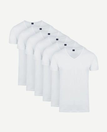 Vita t-shirt v-hals wit (6-pack)